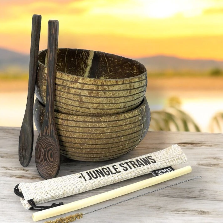 Coconut Bowls - Eco Coconut Shell Bowl Set (Two Bowls) - Striped