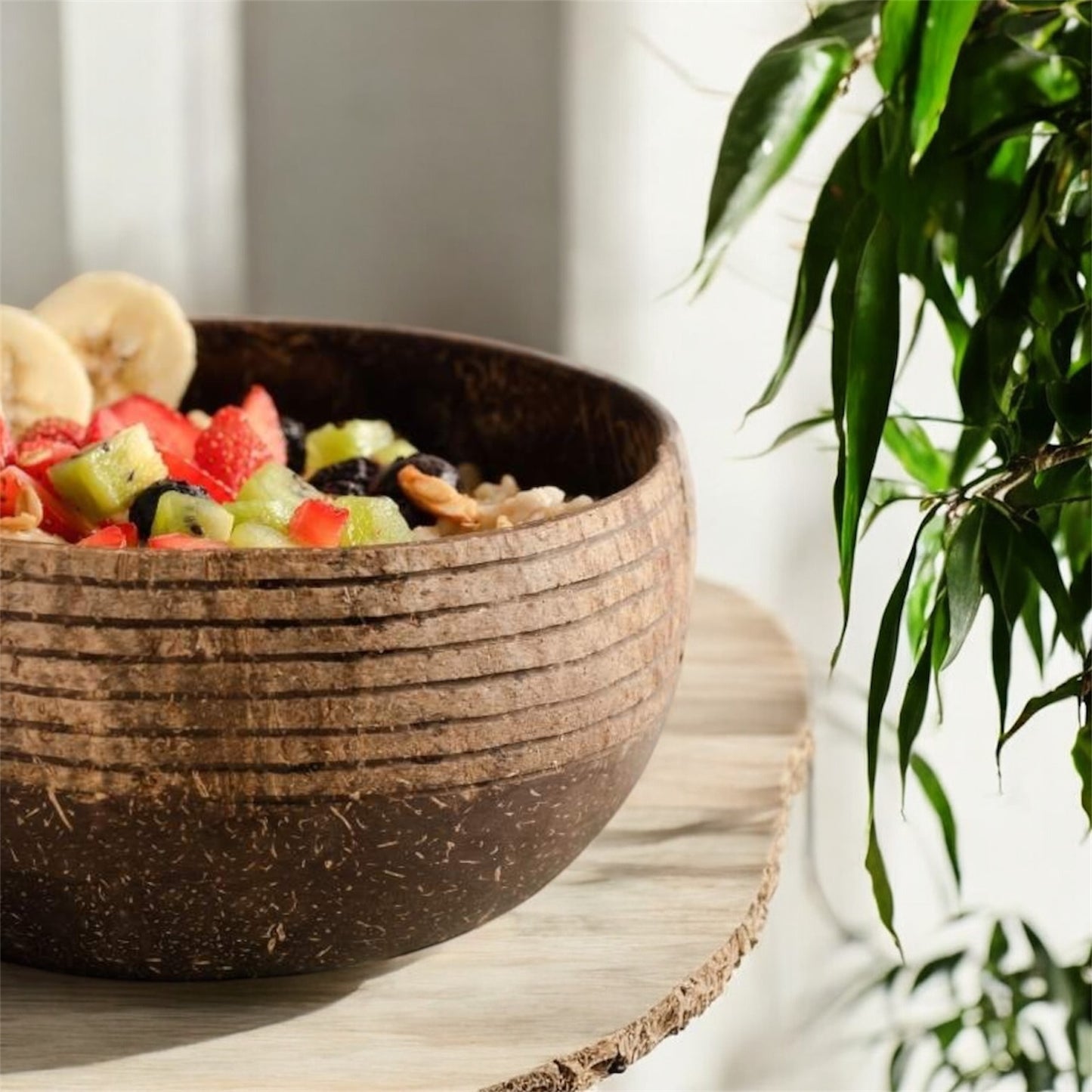 Coconut Bowls - Eco Coconut Shell Bowl Set (Two Bowls) - Striped